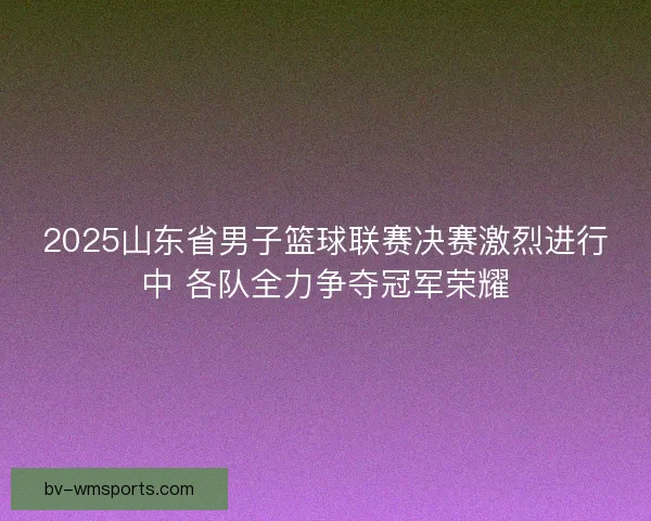 2025山东省男子篮球联赛决赛激烈进行中 各队全力争夺冠军荣耀