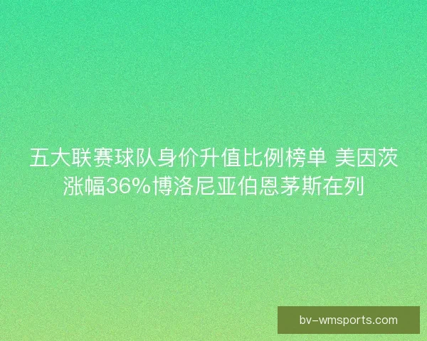 五大联赛球队身价升值比例榜单 美因茨涨幅36%博洛尼亚伯恩茅斯在列